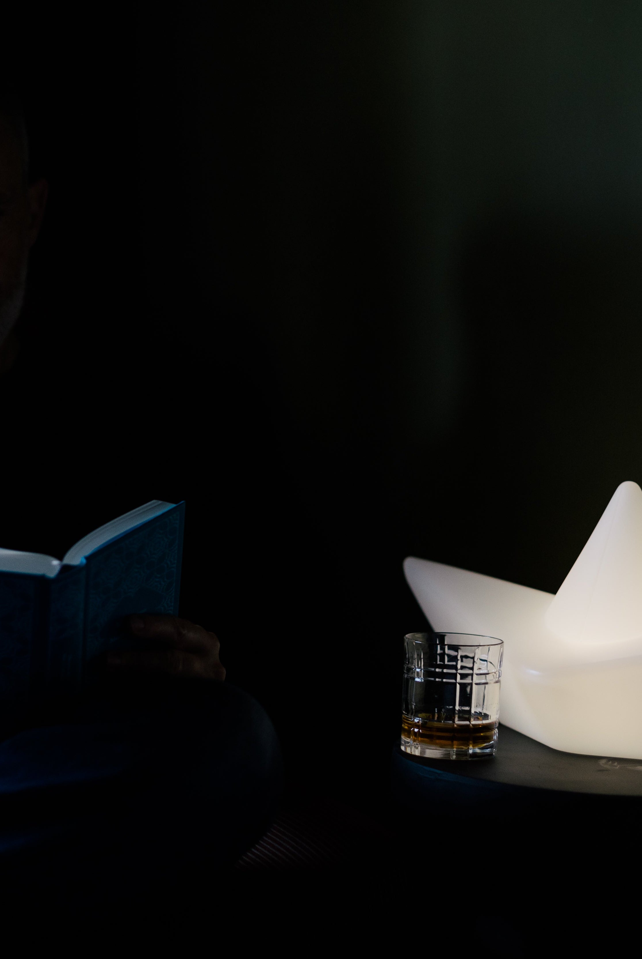 The Lamp That Lives in the Nursery, the Living Room, and the Garden