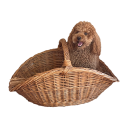 Empty cart icon