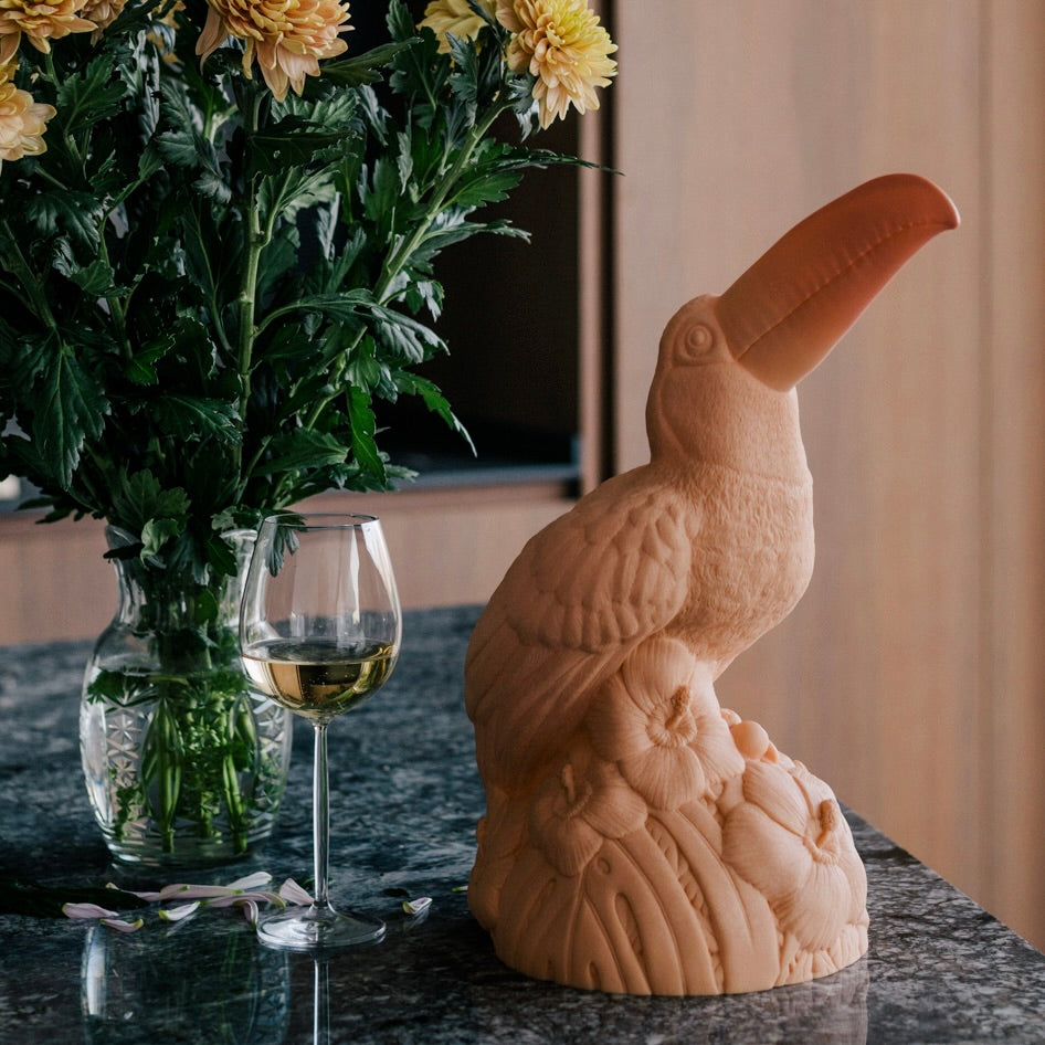 Colorful toucan night light by Goodnight Light for children's room